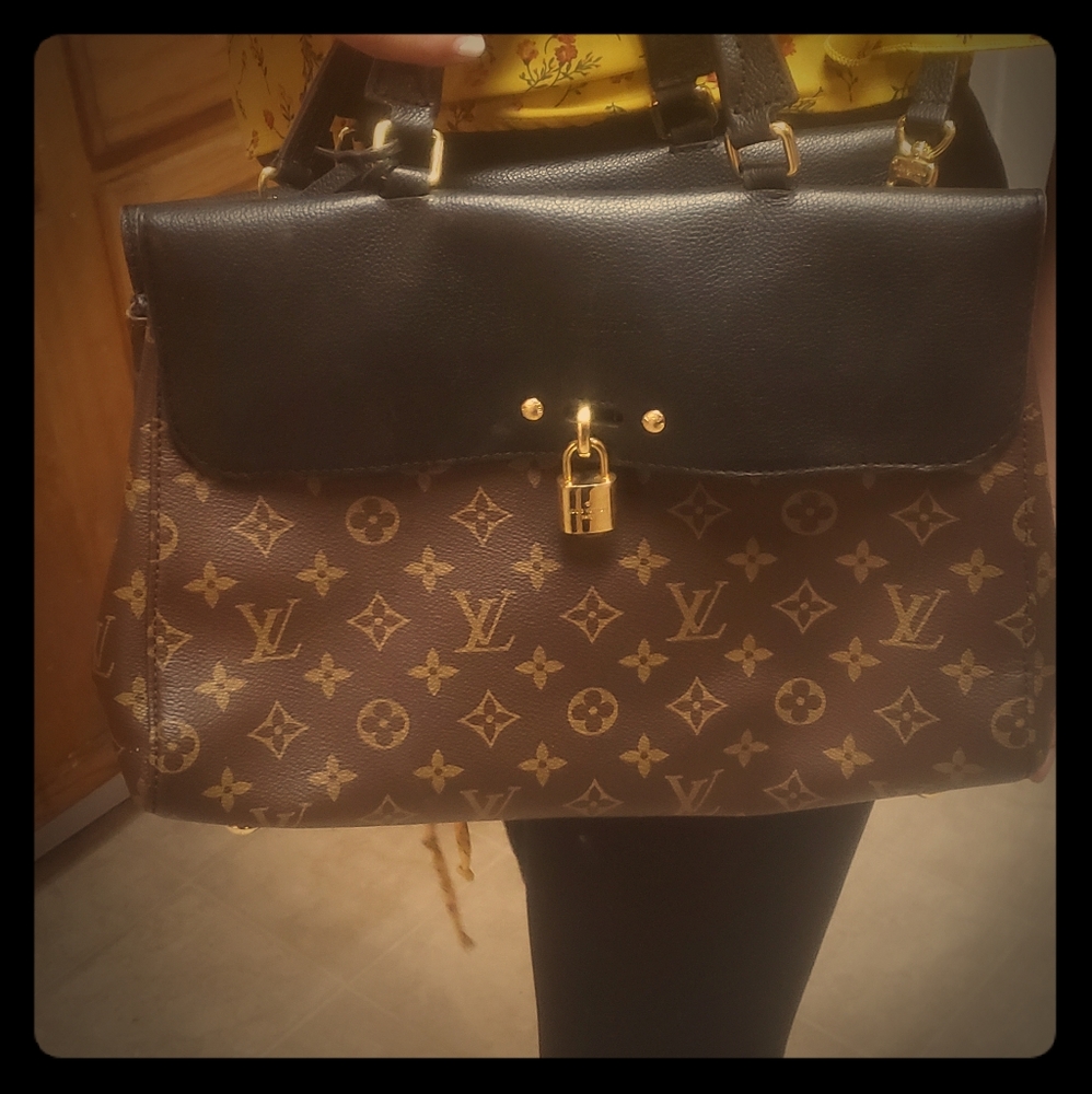Luis vuitton bag
